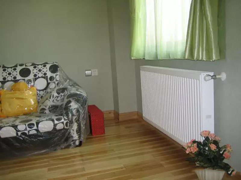 舒适家居先锋论坛会图