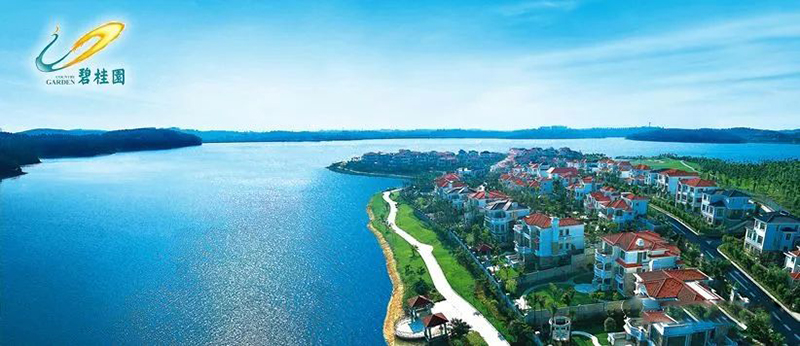 长沙碧桂园新风图